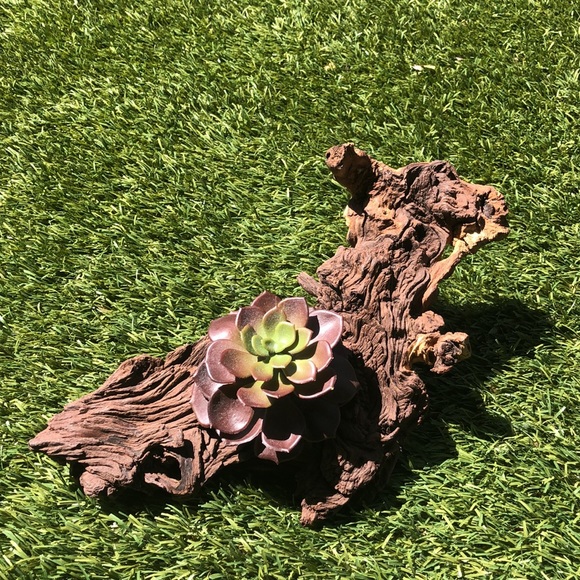 Driftwood art for your desk or table by local Austin artisan - Picture 9 of 10